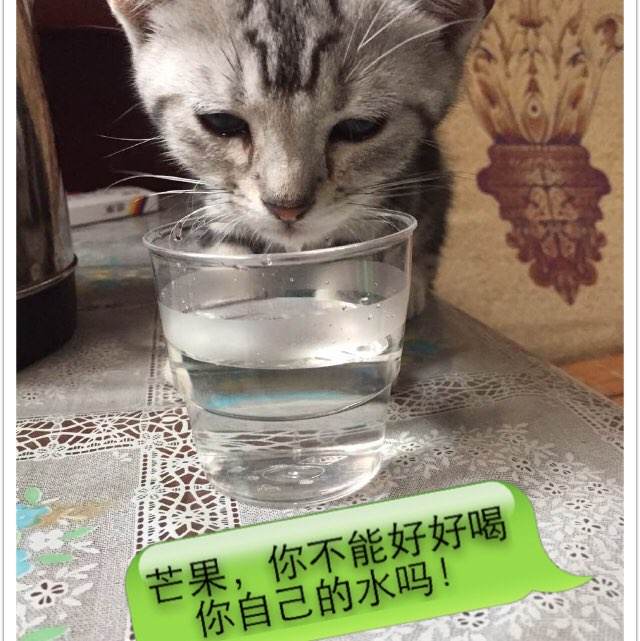 威斯康星大学马尼托沃克分校 Sociological degree
